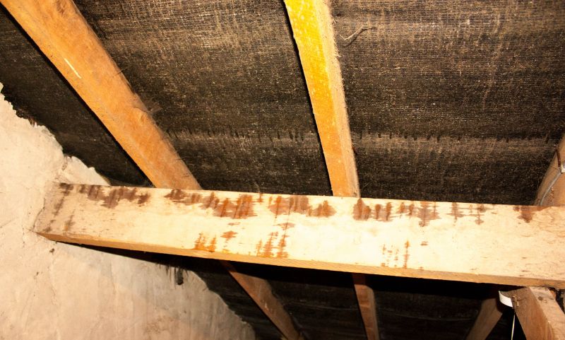 Building Damage Repair in Katy, TX