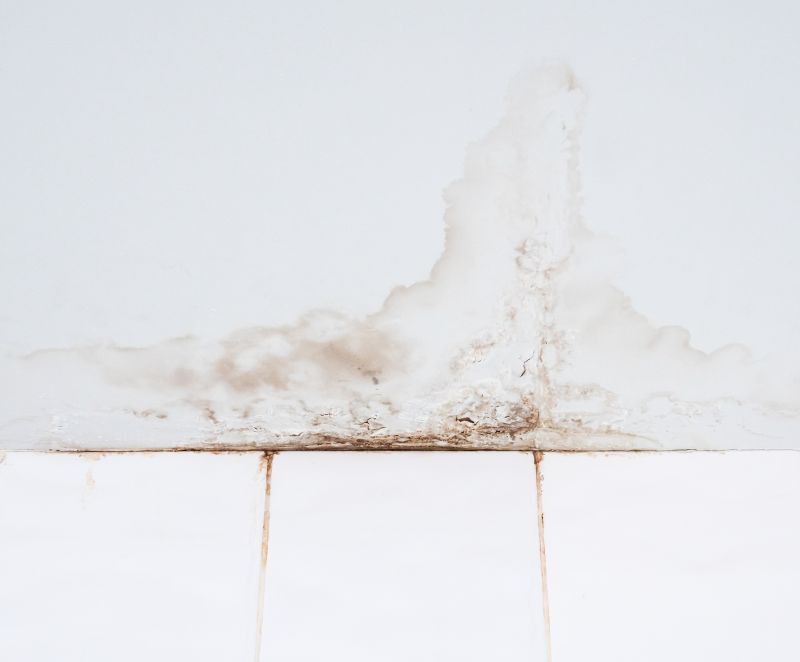 Ceiling Leak Repair Service in Conroe, TX