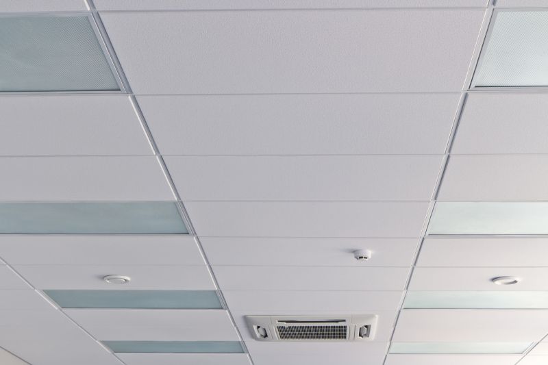 Ceiling Removal Service in Katy, TX