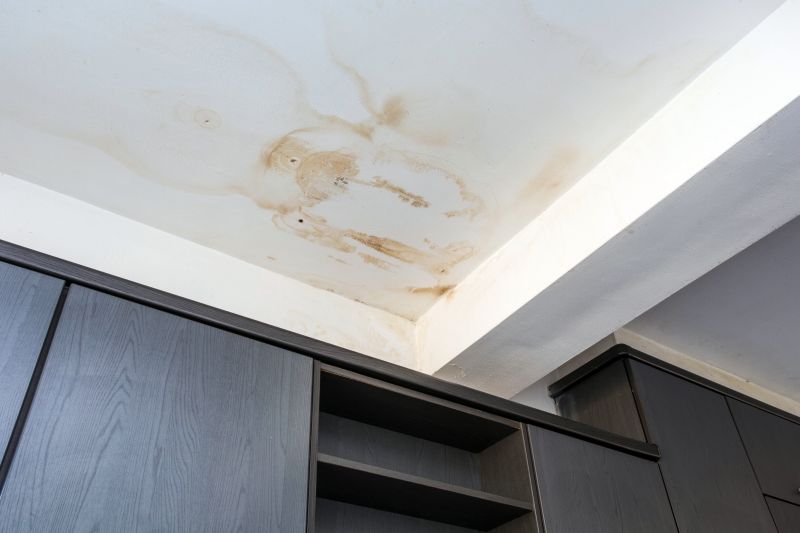 Crawl Space Remediation in Katy, TX